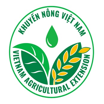 KN-VN
