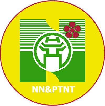 NN-PTNT